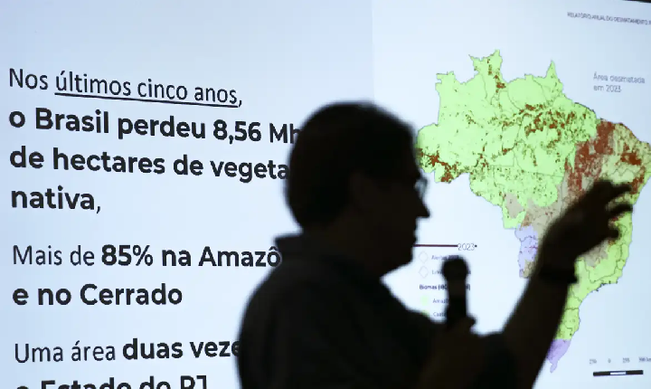 Brasil já perdeu 33% das áreas naturais de seu território