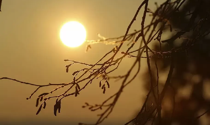 Efeitos da friagem mantêm temperaturas baixas em RO nesta quarta-feira