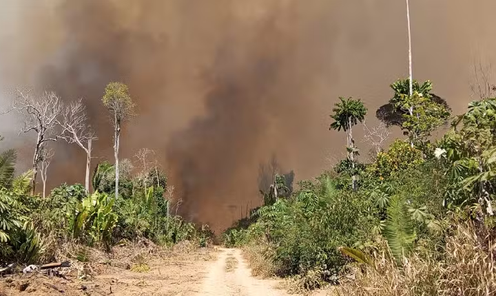 Governo de Rondônia decreta emergência por causa de incêndios florestais