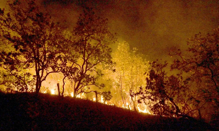 Ministro do STF manda União mobilizar Forças Armadas, PF, PRF e Força Nacional para combater incêndios na Amazônia e Pantanal