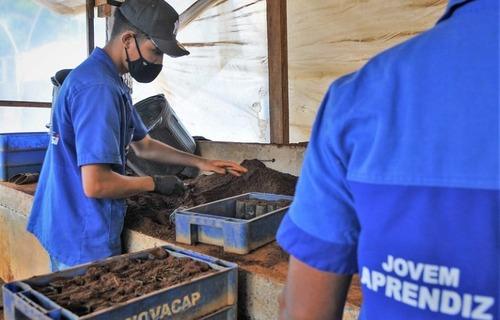 Estatuto do Aprendiz: número de jovens aprendizes pode chegar a 1 milhão com nova lei