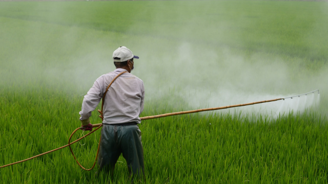 Entenda Projeto de Lei aprovado pela ALE que reduz valor das multas pelo uso de agrotóxicos em RO