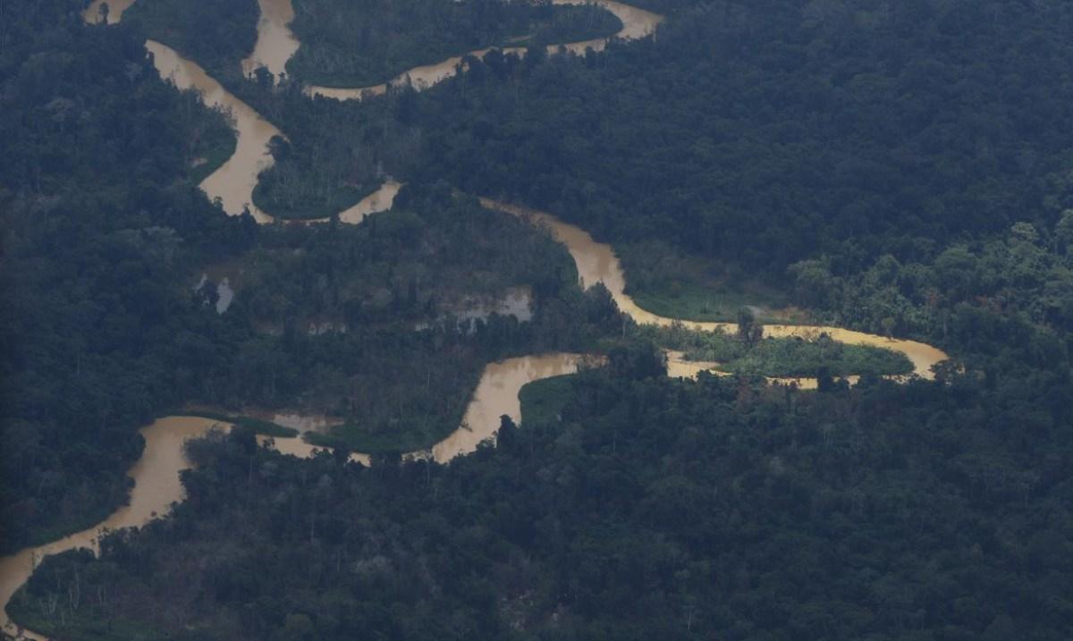 Amazônia tem o mês de junho com mais queimadas em 16 anos