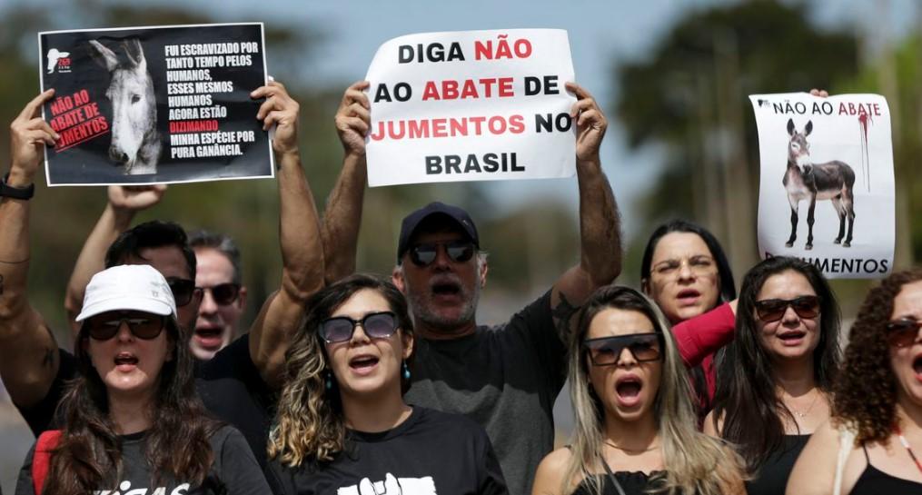 Manifestação pede fim da permissão para abate do jumento no Brasil