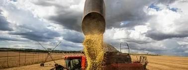 Empregos ligados ao agro já são quase um terço da mão de obra no país