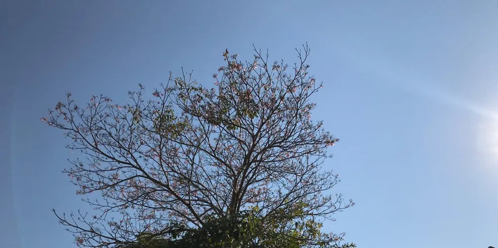 Semana começa com tempo seco e sem previsão de chuva em RO, indica Sipam