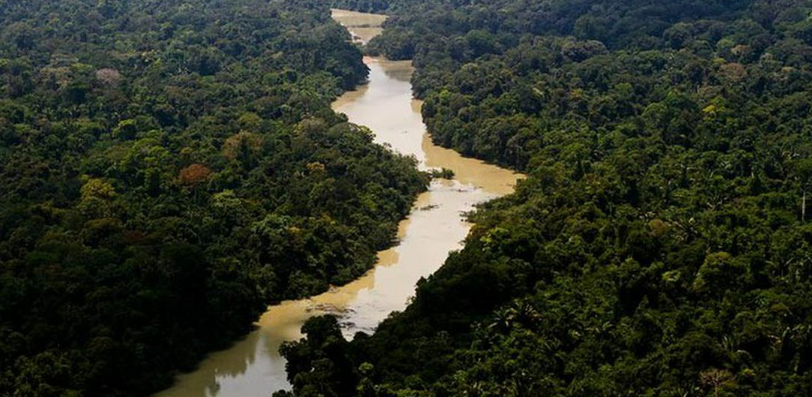 Alertas de desmatamento na Amazônia caem 66% em agosto