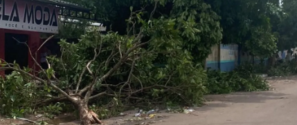 Após tempestade, prefeito de Candeias do Jamari decreta estado de emergência