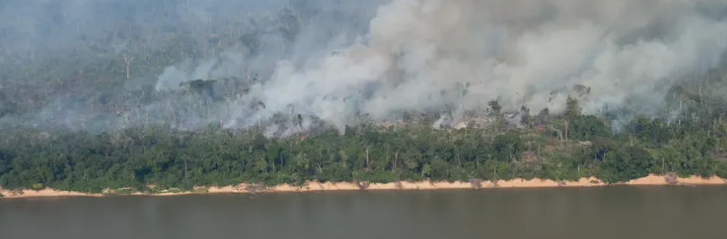 Rondônia registra maior queda no desmatamento durante o mês de setembro em toda a Amazônia