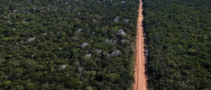 Câmara Federal aprova projeto que permite uso de recursos do Fundo Amazônia para asfaltar a BR-319.