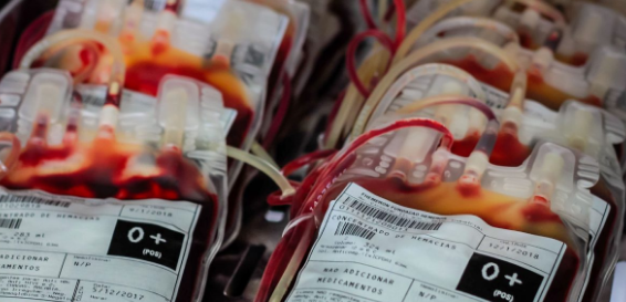 Campanha itinerante da Fhemeron realiza coleta de sangue em Guajará-Mirim nos dias 8 e 9 de dezembro