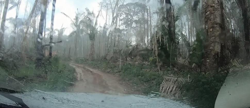 Indígenas denunciam invasão dentro da TI Uru-Eu-Wau-Wau em Rondônia