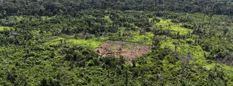 CRIMES: Indígenas denunciam desmatamento de invasores em território Karipuna