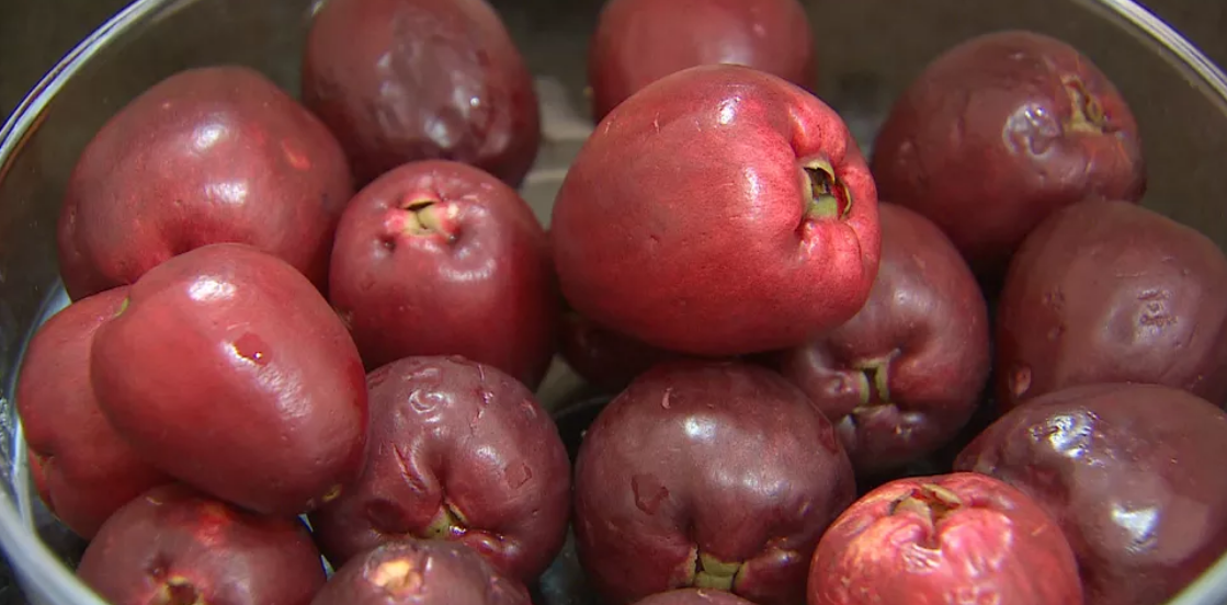 Época do jambo: conheça a origem da fruta exótica e seus benefícios para a saúde