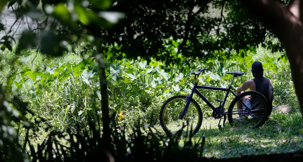 Outono chega com temperaturas acima da média em todas as regiões