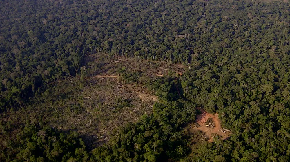 Desmatamento reduziu 70% em Rondônia em 2023, aponta MapBiomas