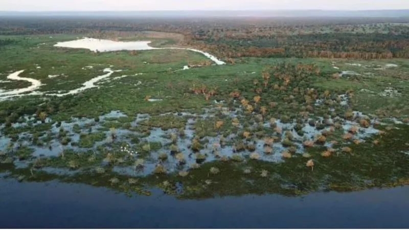 Estiagem no Pantanal pode ser uma das mais severas em 2024