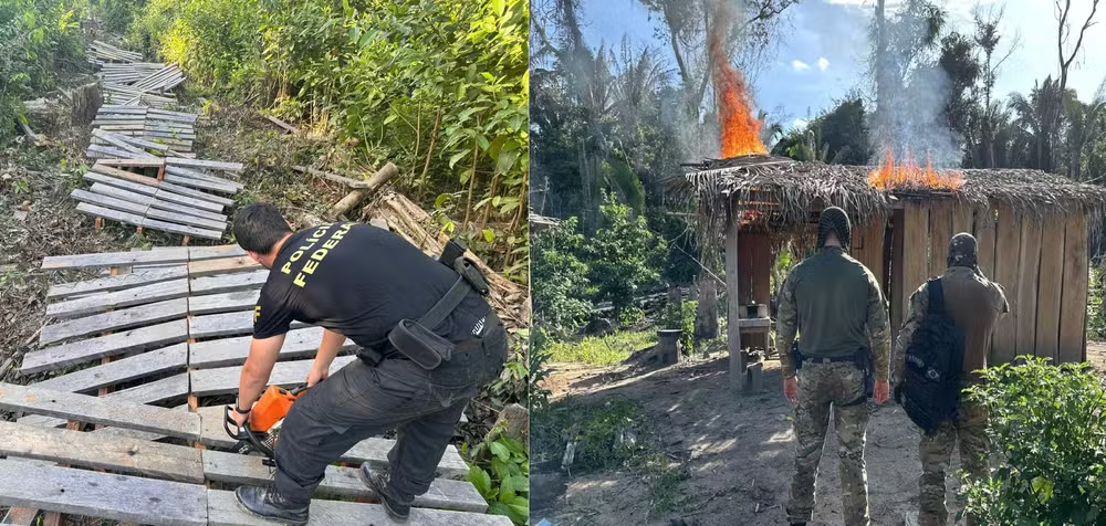 Invasores desmatam área equivalente a mais de 1,1 mil campos de futebol na Terra Indígena Igarapé Lage em RO