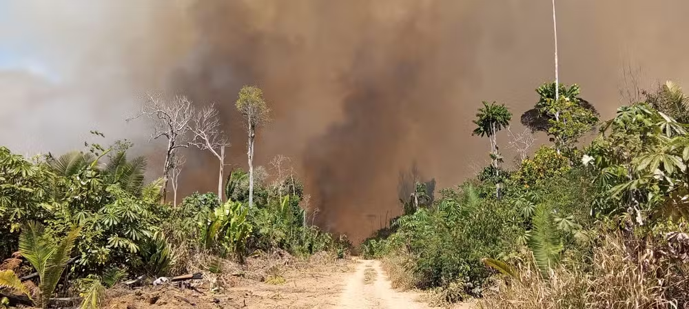 Governo de Rondônia decreta emergência por causa de incêndios florestais