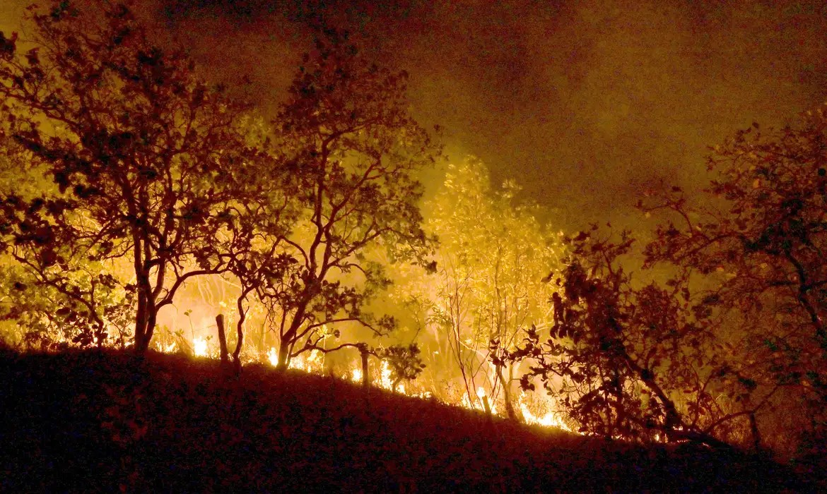 Ministro do STF manda União mobilizar Forças Armadas, PF, PRF e Força Nacional para combater incêndios na Amazônia e Pantanal