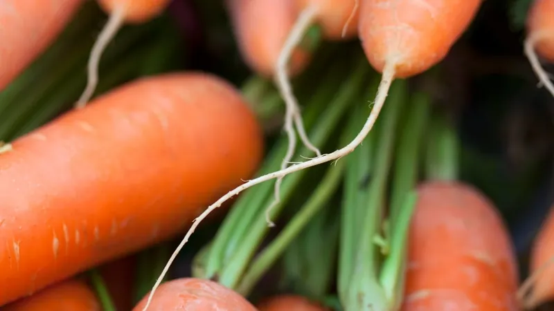 Preços de hortaliças e frutas caem em todo o Brasil