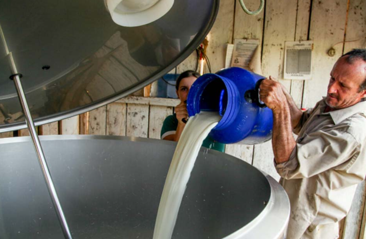 Rondônia se prepara para o 2º Fórum do Leite